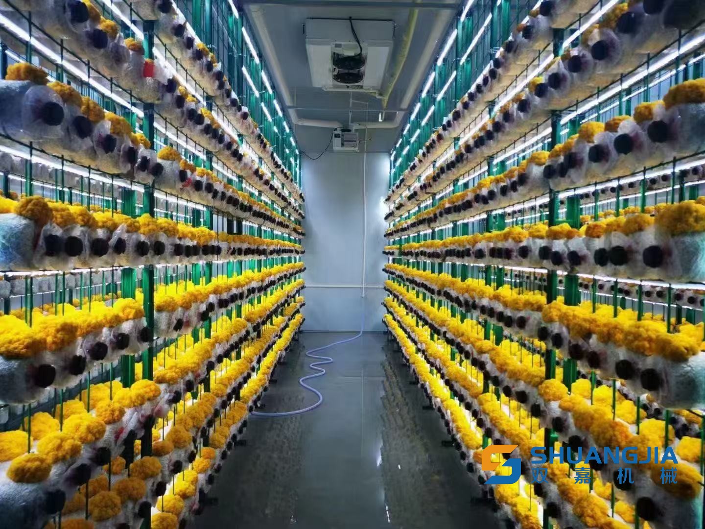 1772713812997258.jpg 微信圖片_20260305202958.jpg